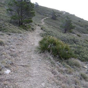 Single-track offroad trail