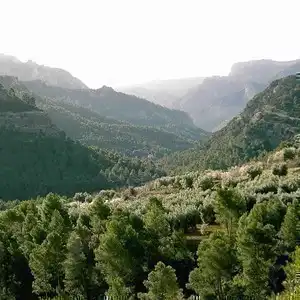 Riding offroad in the mountains of north-eastern Spain
